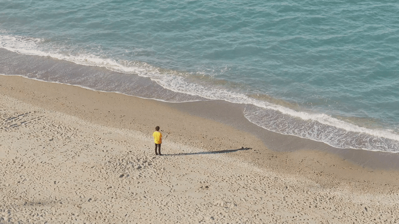 A Year of Transformation