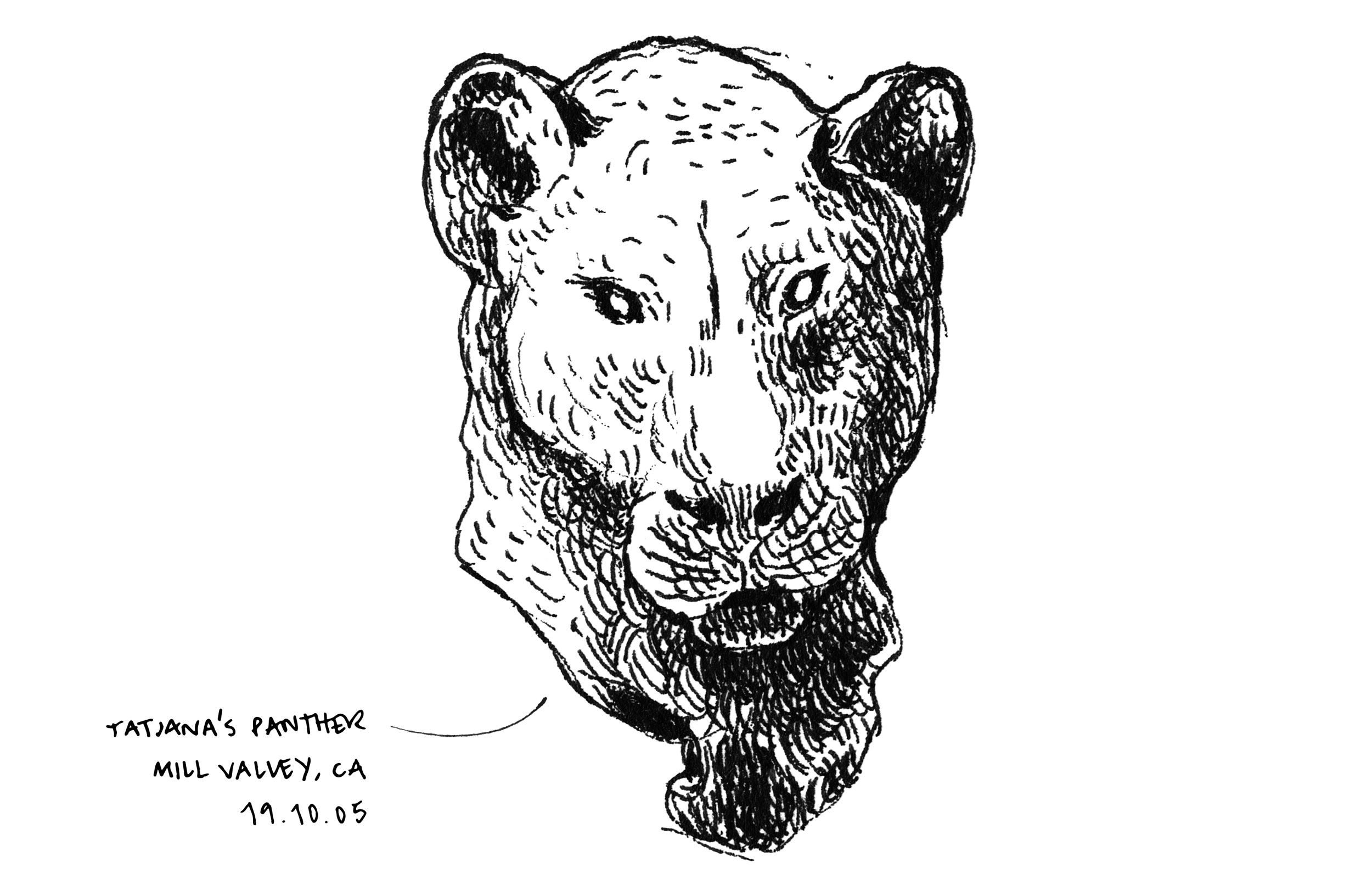 Sketch of panther sculpture.